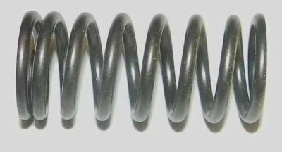 New Jet Ski Outer Valve Spring Compatible With Sea-Doo 420838280