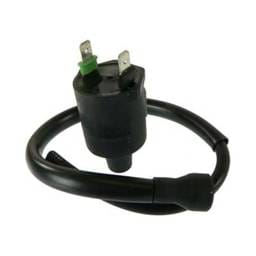 New Ignition Coil Fits Honda Atv Fl400r Pilot 89-90 Trx400fw 95-03 30510-Kj2-405