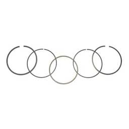 Piston Rings 0.25Mm Over Compatible With 1986-2005 Kawasaki Bayou 300 Lakota 300 Prairie 300 Klf300