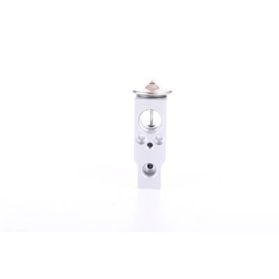 A/C Expansion Valve Compatible With 2000-2005 Toyota Echo 1.5L L4 8851552010 8851552020 Direct Fit