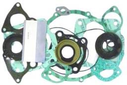 Complete Gasket Kit Compatible With 2002-2004 Polaris Freedom 700 OEM 2201626 Direct Fit Replacement