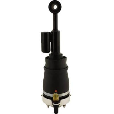 New Front Air Spring Compatible With Ford Lincoln Expedition Nbx 8 Cyl 5.4L Expedition Eddie Bauer 8 thumbnail 9