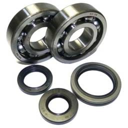 New Crankshaft Bearing & Seal Kit Compatible With Suzuki Rm 250Cc 250Cc Engine By P400510444003