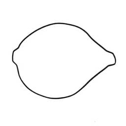 New Clutch Cover Gasket Compatible With Ktm Rr 450Cc 2014 Xc-F 505Cc 2008-2009 Exc 450Cc 2007 Xc