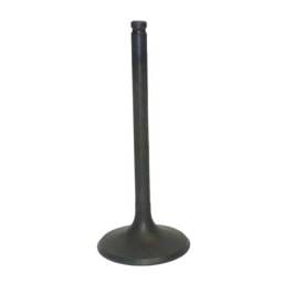 New Intake Valve Compatible With Honda Trx Rancher Tm / Te Trx Rancher Fm / Fe 350Cc Engine By