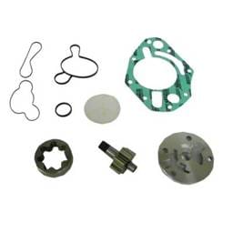 New Secondary Oil Pump Kit Compatible With Sea-Doo Gti Se Dt 1503Cc Gts Rental 1503Cc Rxt 1503Cc Gtx