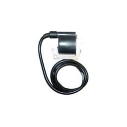 New 24In Ignition Coil Compatible With Sea-Doo Xp Xp Ltd Sportster Le Gsx Ltd Rx X Gtx Ltd Rx Lrv