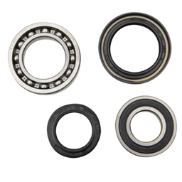 New Rear Wheel Bearing Kit Compatible With Yamaha Bear Tracker 250Cc 2000-2004 Bear Tracker 250Cc