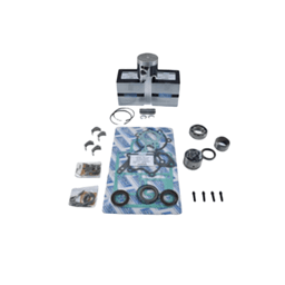 New .040 Over 3.033" Powerhead Rebuild Kit Compatible With Mercury 2 Cyl 40Hp 2014 Mariner Models By
