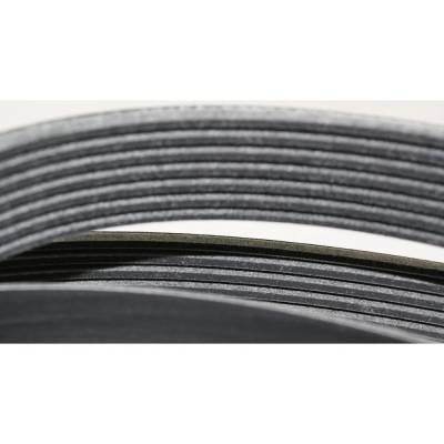 New 7 Rib Drive Belt Compatible With Honda Accord Lx Special Edition 4 Cyl 2.4L Accord Dx 4 Cyl 2.4L thumbnail 8